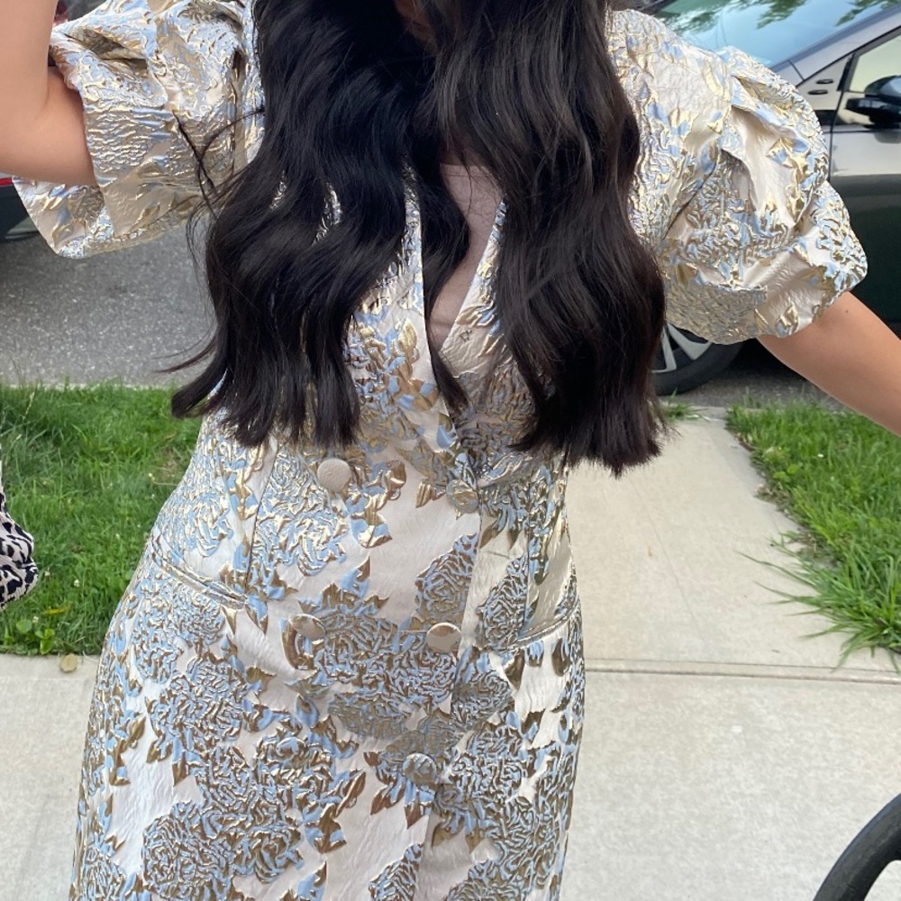 Custom vintage metallic puff sleeve dress